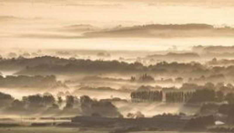 The EOS 6D Mark II responded beautifully in the real world