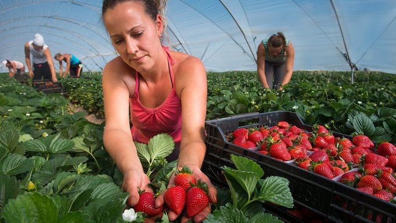 Grufesa es un agente reconocido de riqueza y desarrollo