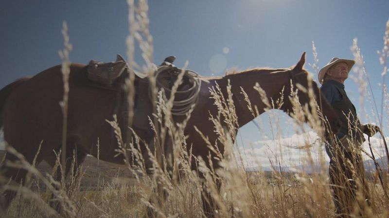 Outstanding image quality