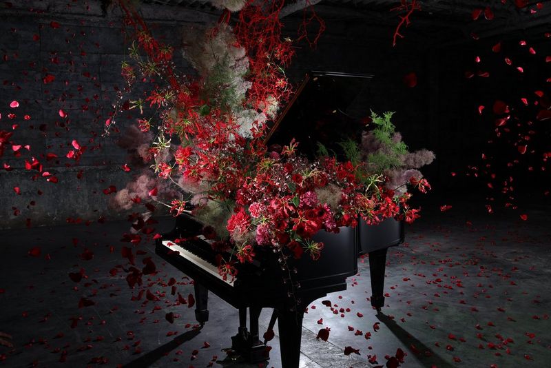 Eccellente anche a basse luci