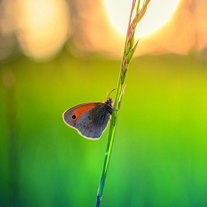 DUBBELE CASHBACK PROMOTIE