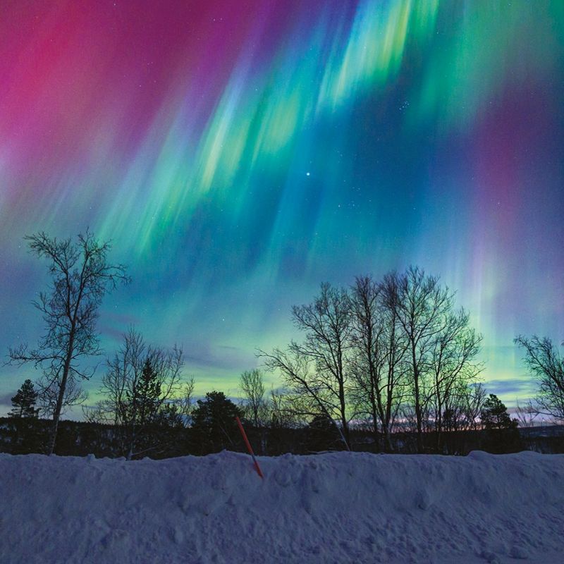 WINTER DEALS - WINTERPROMOTIE