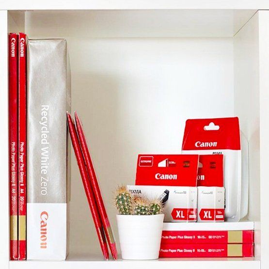 Canon Ink for Pro Printers