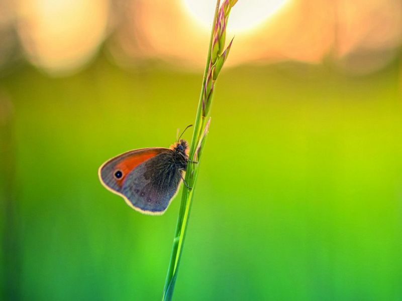 DUBBELE CASHBACK PROMOTIE