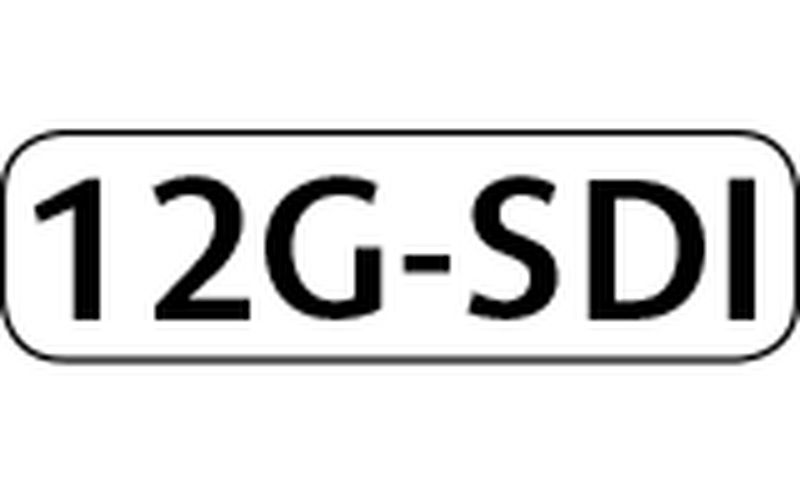 Supporting 4 x 4K/50P single cable inputs  