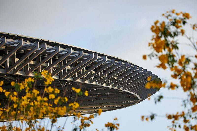 Выставка Dubai Expo