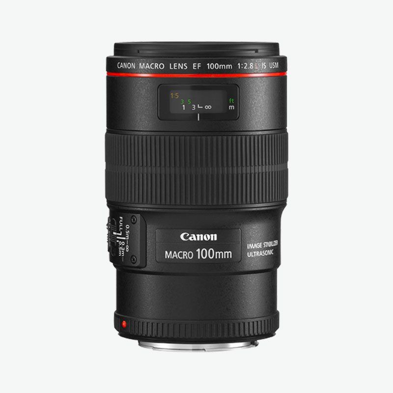 Canon EF 100mm f/2.8L Macro IS USM Lense