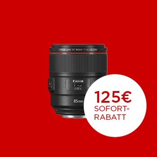 Canon EF 85mm F1.4 L IS USM
