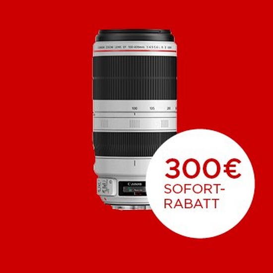 Canon EF 100-400mm F4.5-5.6 L IS II USM