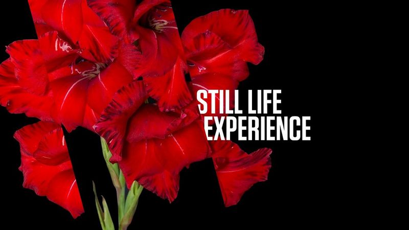 Ritrai l’essenza con il sistema EOS R