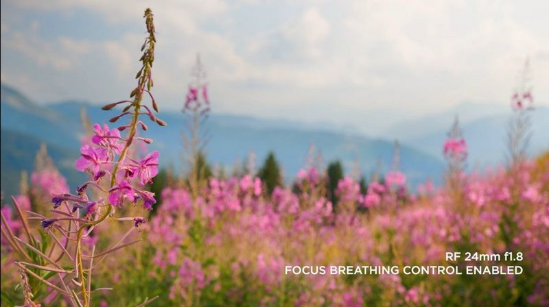 Video di alta qualità con correzione del focus breathing