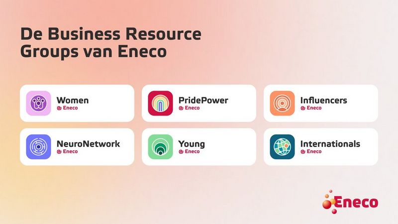 Overzichtsgrafiek met de titel “De Business Resource Groups van Eneco”, met zes blokken: Women, PridePower, Influencers, NeuroNetwork, Young en Internationals, elk met een eigen pictogram en het Eneco-logo.