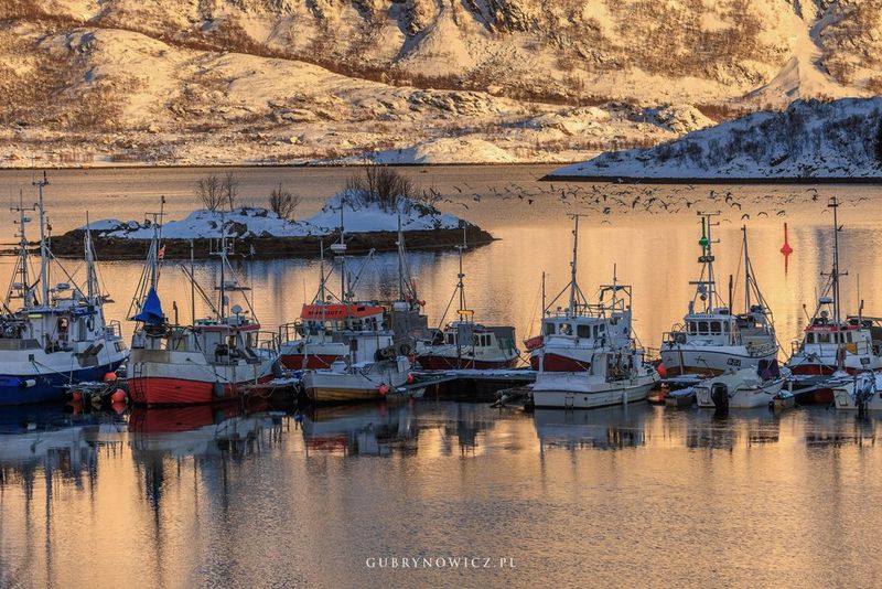 fot. Katarzyna Gubrynowicz