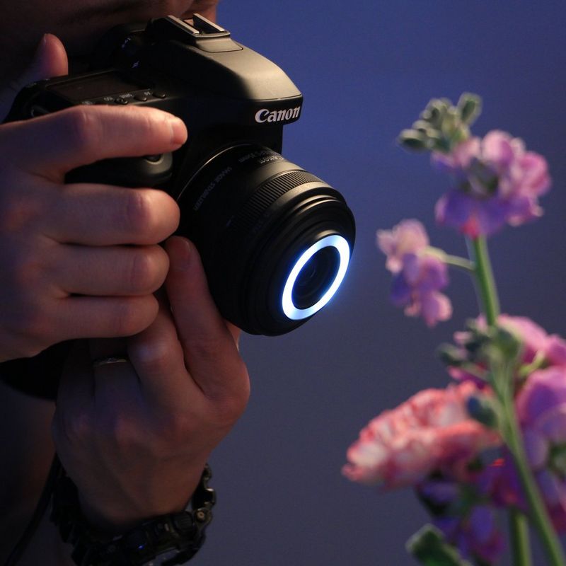 Canon EF-S 35mm f/2.8 Macro IS STM Objektiv Objektiv, das an einer Kamera angebracht ist, in Verwendung