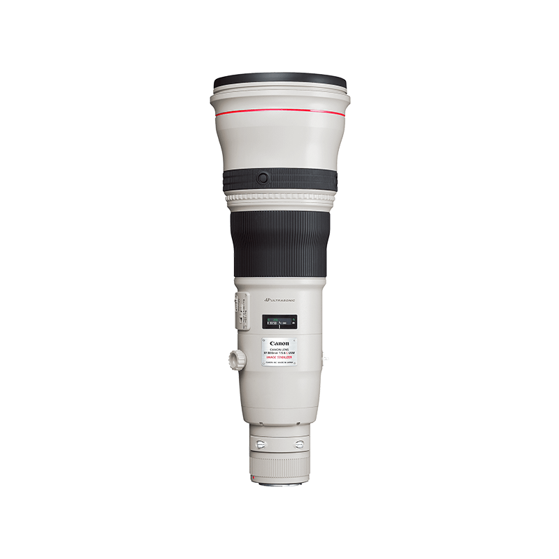 EF 800mm f/5.6 L IS USM