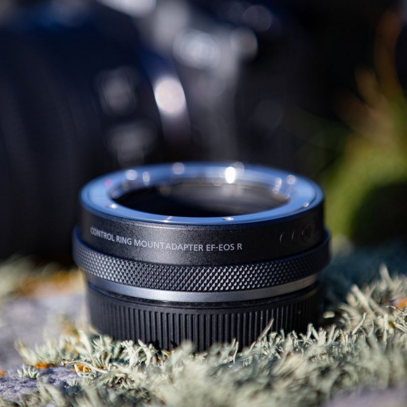 Canon EF-EOS R Bajonettadapter mit Objektiv-Steuerring 0 Auf Gras platziert