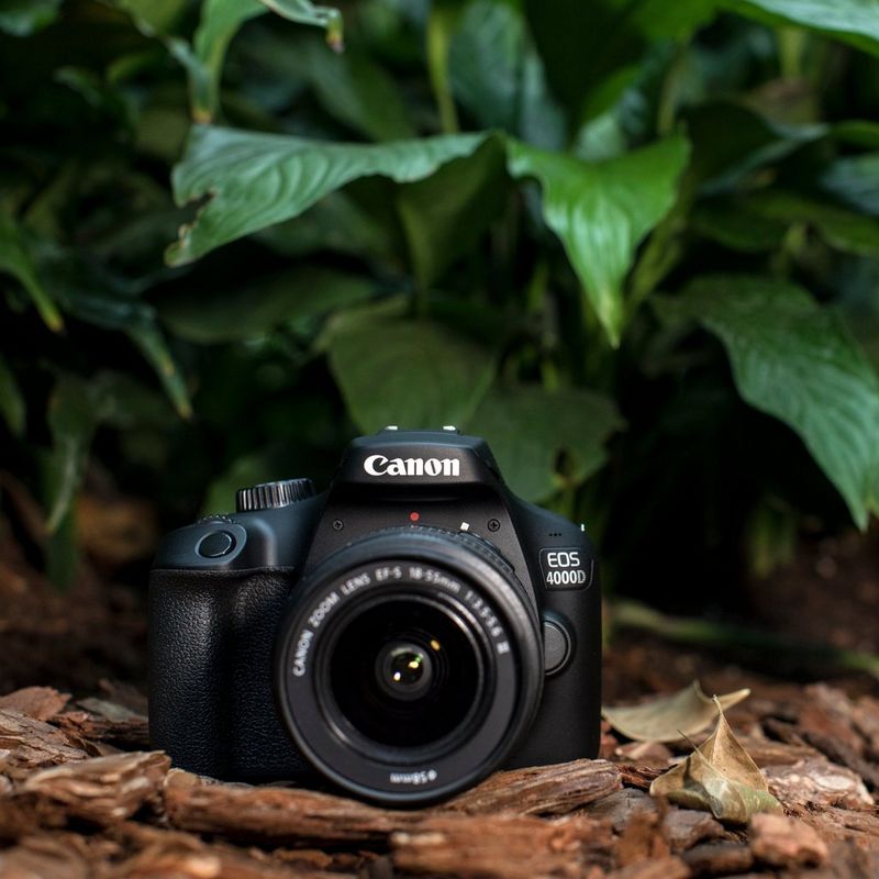 Canon EOS 4000D Body + EF-S 18-55mm III + EF 75-300mm III Front View In Outdoor