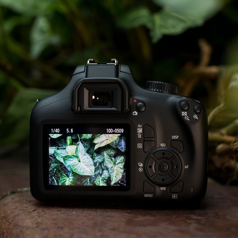 Canon EOS 4000D Body + EF-S 18-55mm III + EF 75-300mm III Back View In Outdoor