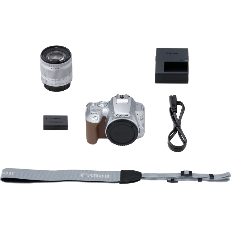Canon EOS 250D Gehäuse, Silber + EF-S 18-55mm f/4-5.6 IS STM Objektiv Produkt Lieferumfang