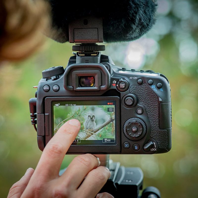 Canon EOS 90D + EF-S 18-135mm IS USM Objektiv + Rucksack + SD Karte + Ersatzakku Rückansicht mit Foto auf dem Bildschirm