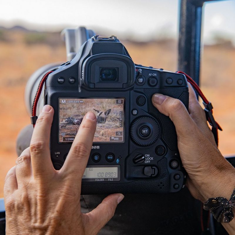 Canon EOS-1D X Mark III Gehäuse Rückansicht mit Foto auf dem Bildschirm