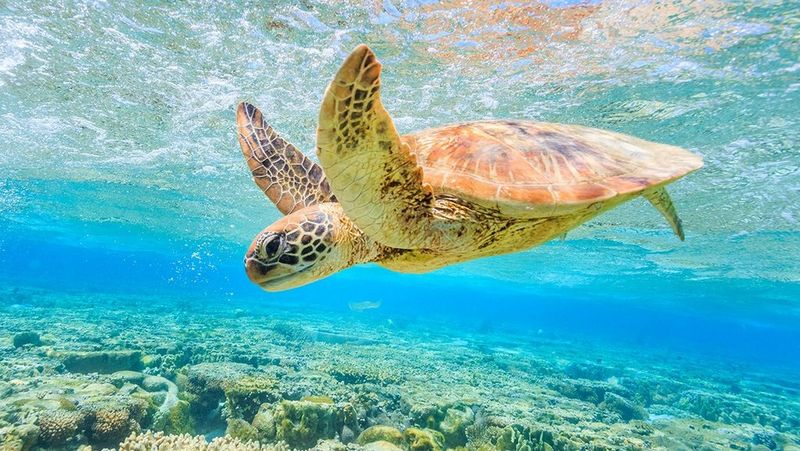 Canon heeft een breed assortiment aan PVC-vrije media.