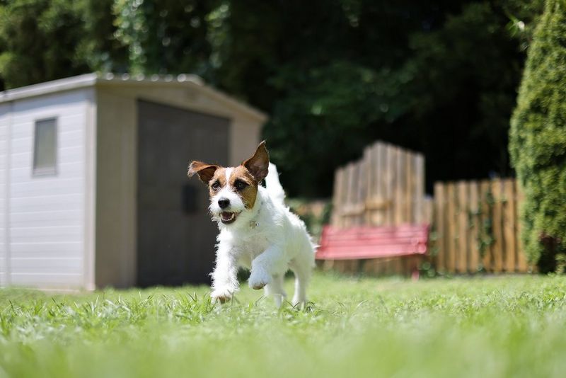 Canon RF 50mm F1.8 STM Lens Sample 2