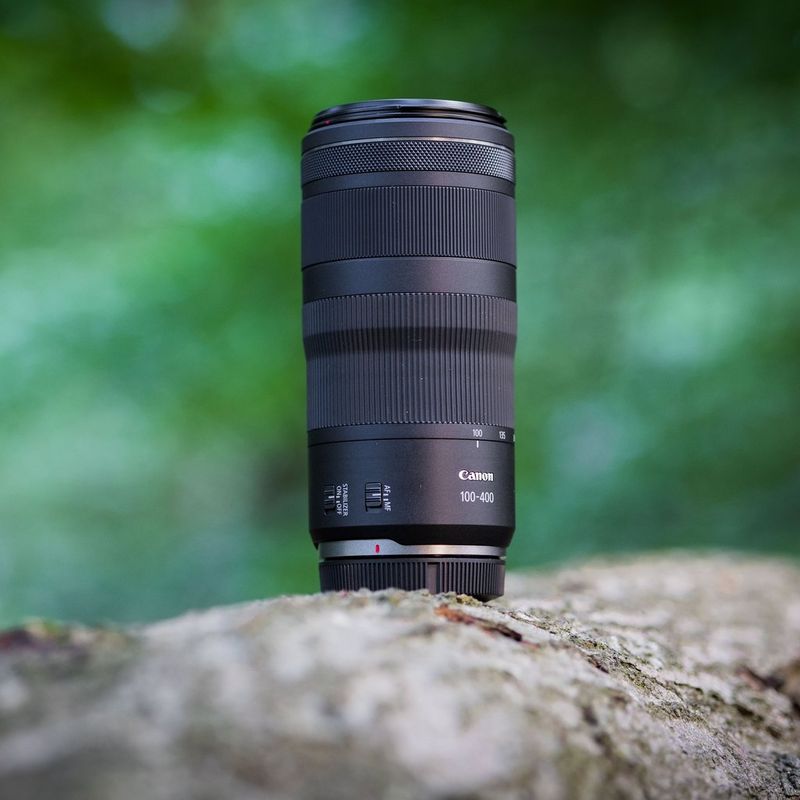 Canon RF 100-400mm F5.6-8 IS USM Objektiv Das Objektiv auf einem Baumstamm