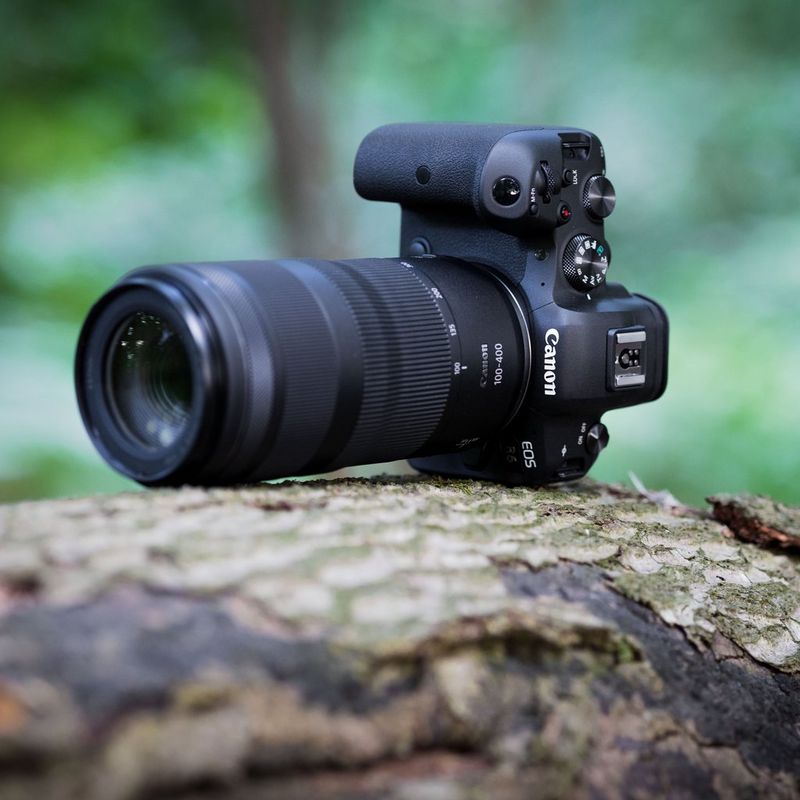 Canon RF 100-400mm F5.6-8 IS USM Objektiv Eine Kamera mit Objektiv auf einem Baumstamm
