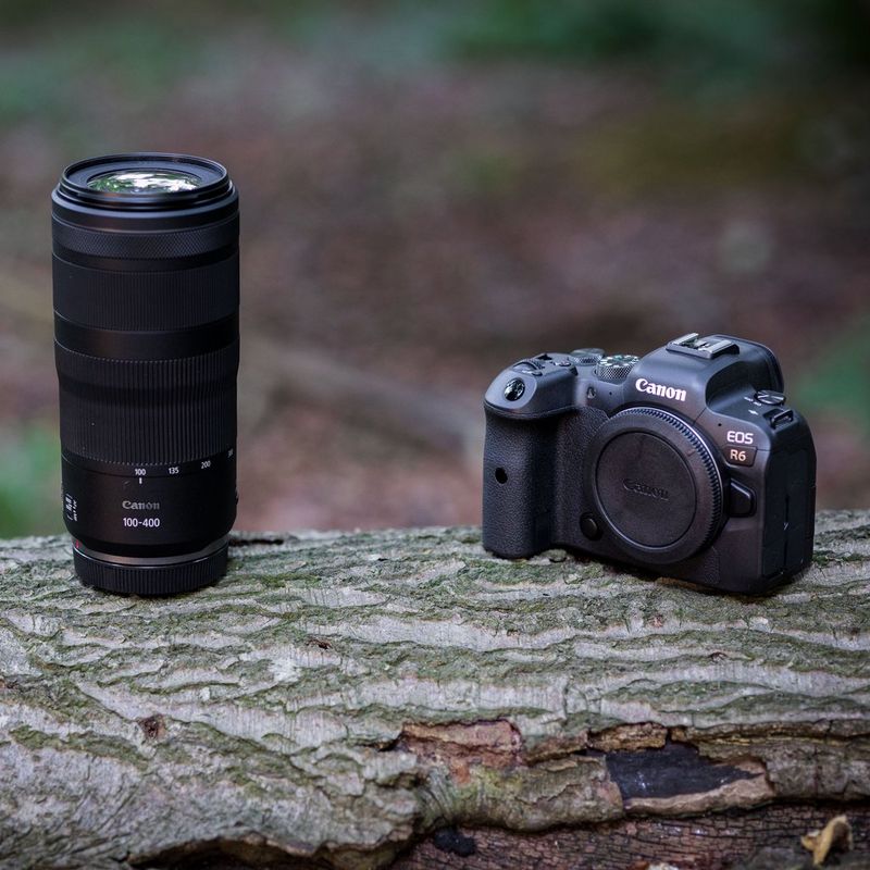 Canon RF 100-400mm F5.6-8 IS USM Objektiv Das Objektiv und eine Kamera auf einem Baumstamm