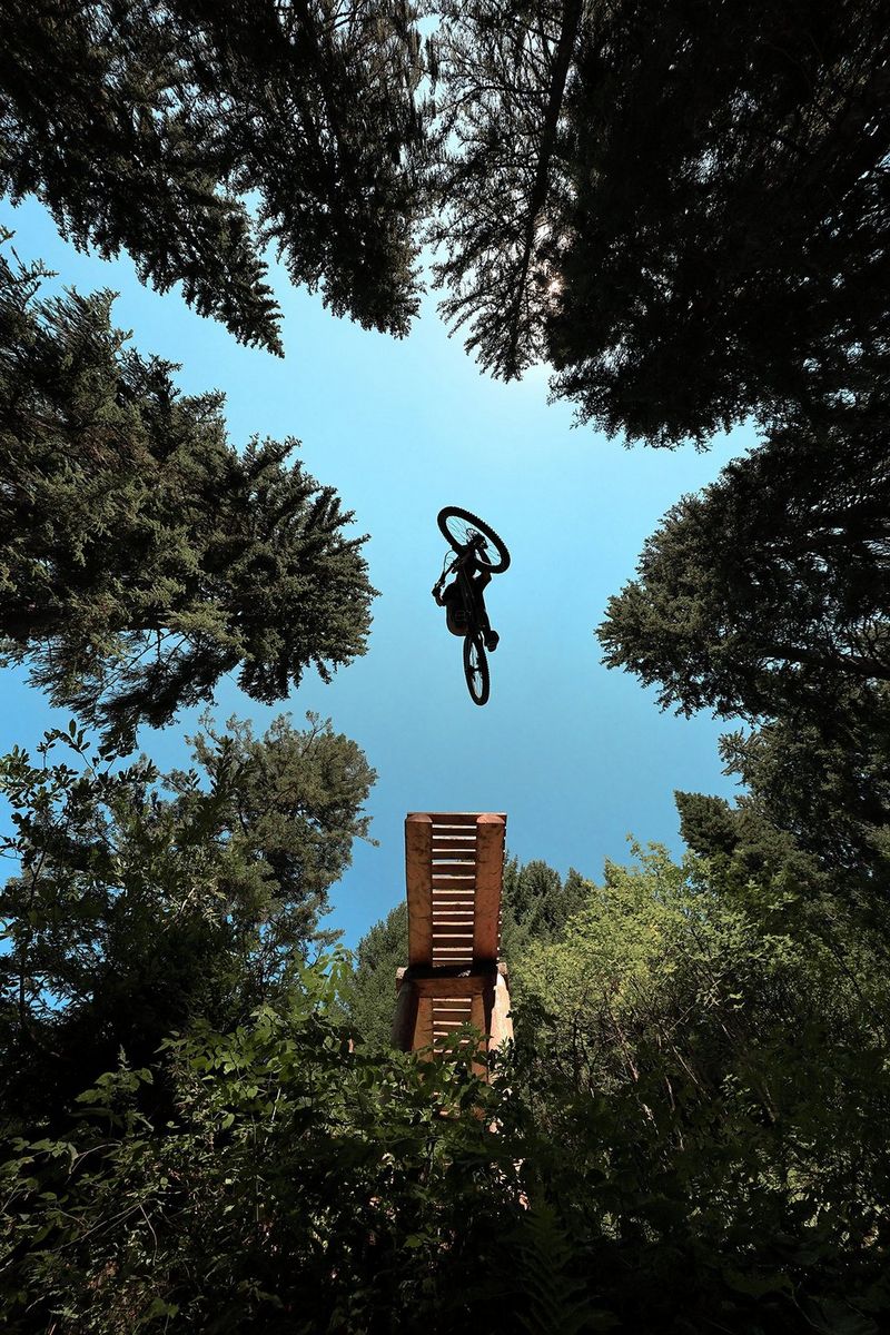 Canon EOS R6 Mark II Mirrorless Camera – Sample Photo of a Cyclist in the Forest 