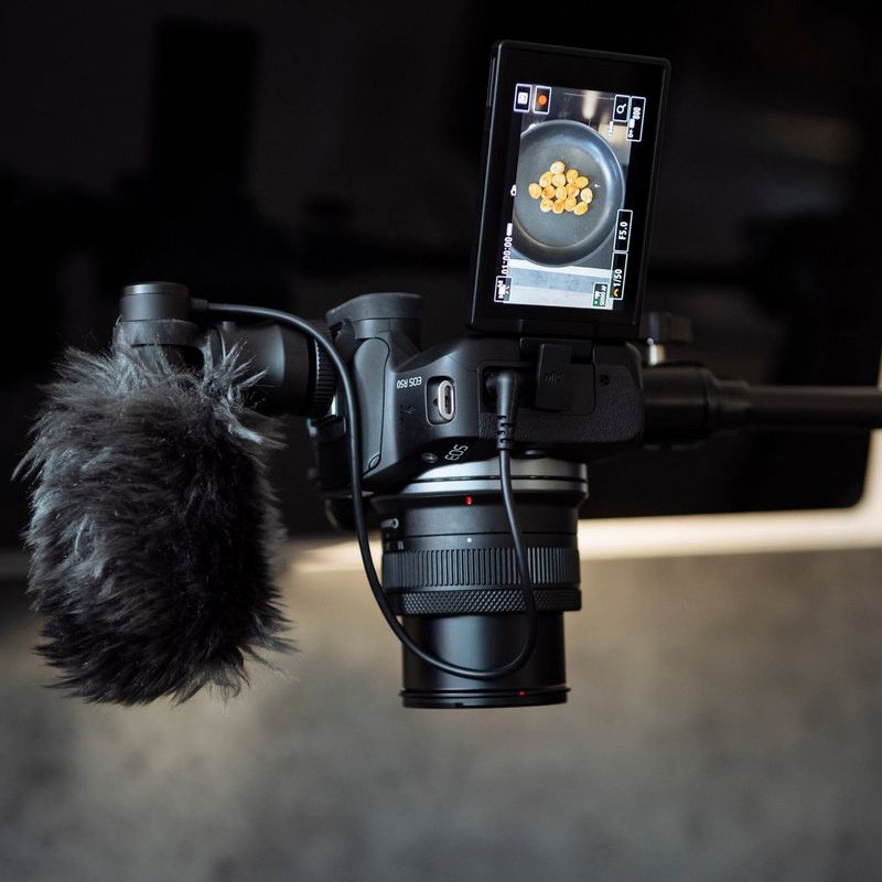 Canon EOS R50 spiegelloses Kameragehäuse Schwarz Vlogger Kit Produkt mit Mikrofon, befestigt auf einem Stativ mit offenem Display