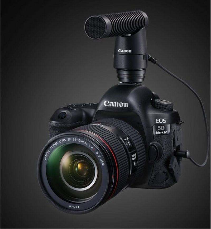 EOS 5D Mark IV with DM-E1 microphone
