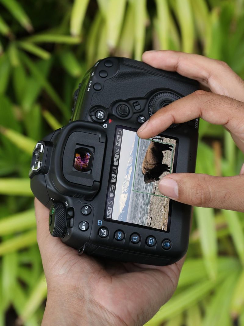 Crop and resize image with EOS 5D Mark IV