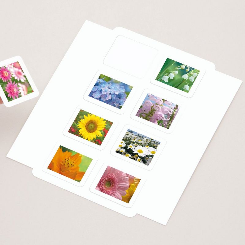 Canon SELPHY Kreativ-Kit für die CP-Serie Produkt Vorderansicht mit mehreren Fotos