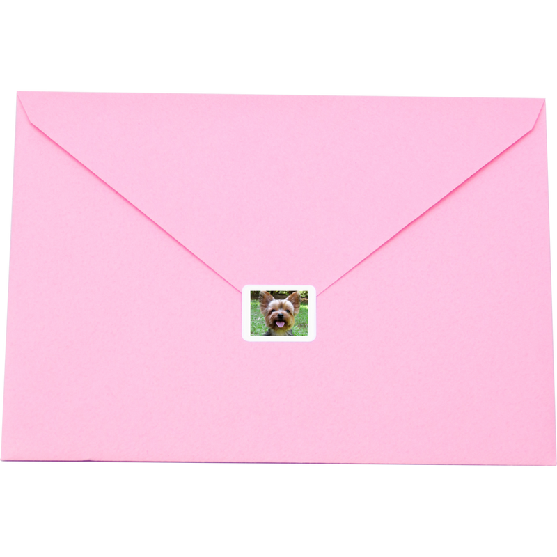 Canon SELPHY Kreativ-Kit für die CP-Serie Rückseite eines Umschlags mit kleinem Hundesticker