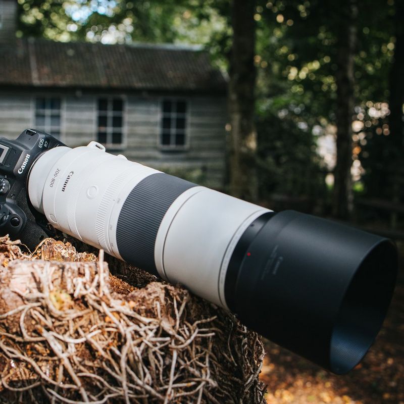 Canon RF 200-800mm F6.3-9 IS USM ObjektivProdukt, das an einer Kamera angebracht ist