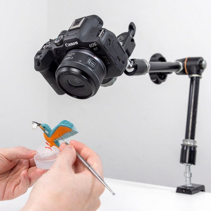 Canon RF-S 7.8mm F4 STM DUAL Lens Produkt Aufnehmen eines Fotos eines künstlichen Vogels mithilfe des Objektivs