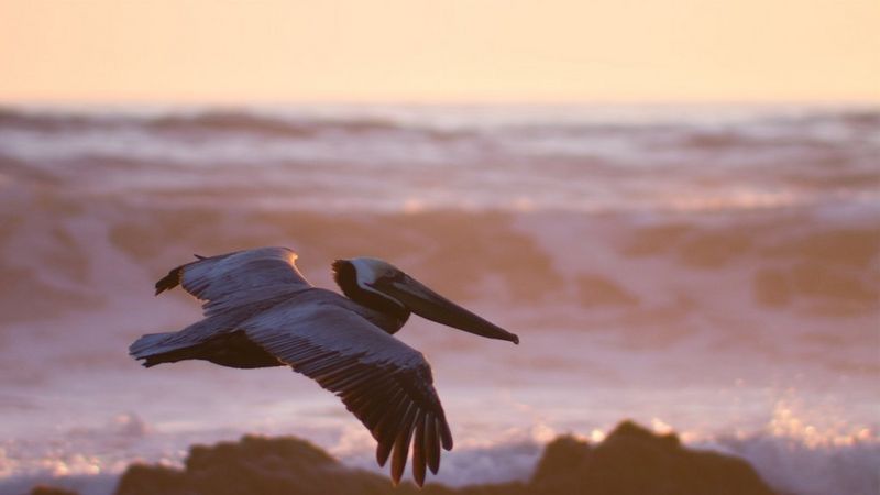 See the difference with a specialist action lens