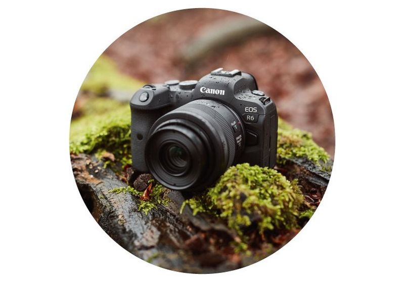 EOS R6