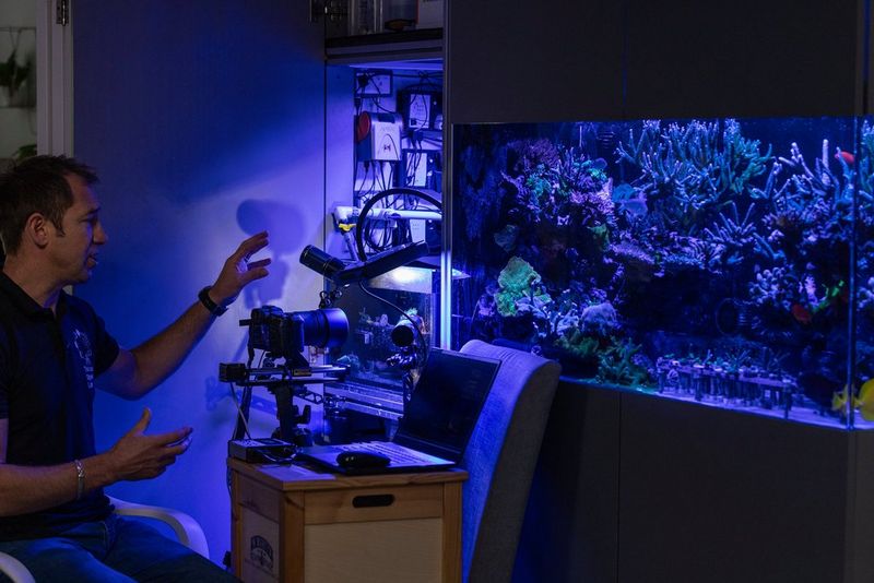 Dr Jamie Craggs sits in his darkened kitchen, observing an aquarium full of coral using a specially adapted Canon camera, which sits on a small wooden table. 