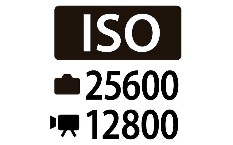 Maksimal ISO på 25600