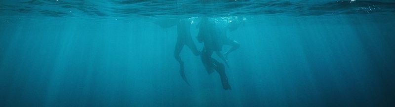Nicolai and his free-diver under water.