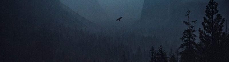 A dark scene of blues and greys, with black trees of differing sizes in the foreground and steep mountains on either side of the image, forming a valley through which you can see a glimpse of light through the clouds. A bird flies between the mountains, very nearly at the dead centre of the image.