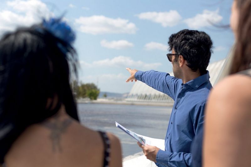 Picture BigOlive-Image1