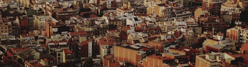 The Canon Blog header image, showing a wooden walkway through flowering fields at dawn.