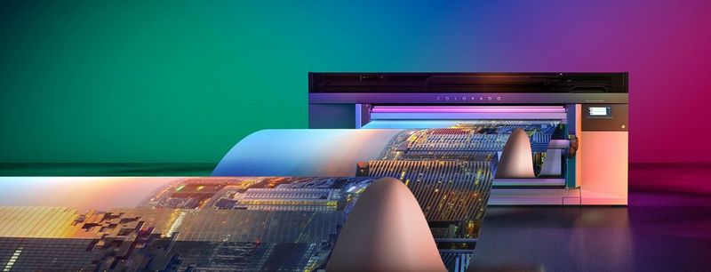 Diversification is key