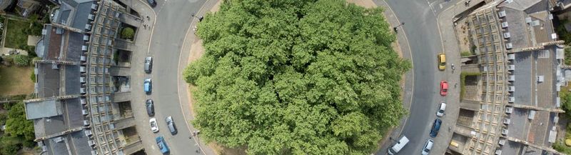 An arial view of a roundabout known as 'The Circus' in Bath, England. The roundabout is covered in trees and the road around it is lined with buildings. There are cars parked on the road. 