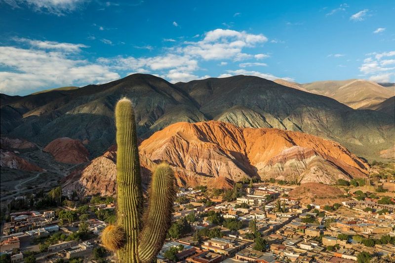 A cactus is framed in the foreground, with a mountain range in the background striped with different shades of red rock. A small town sits in the valley below.
