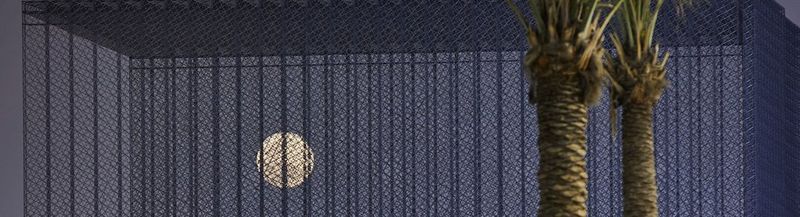 A full moon against a dark blue sky can be seen through what appears to be black mesh. To the right and in front of the mesh are the trunks of two palm-like trees.